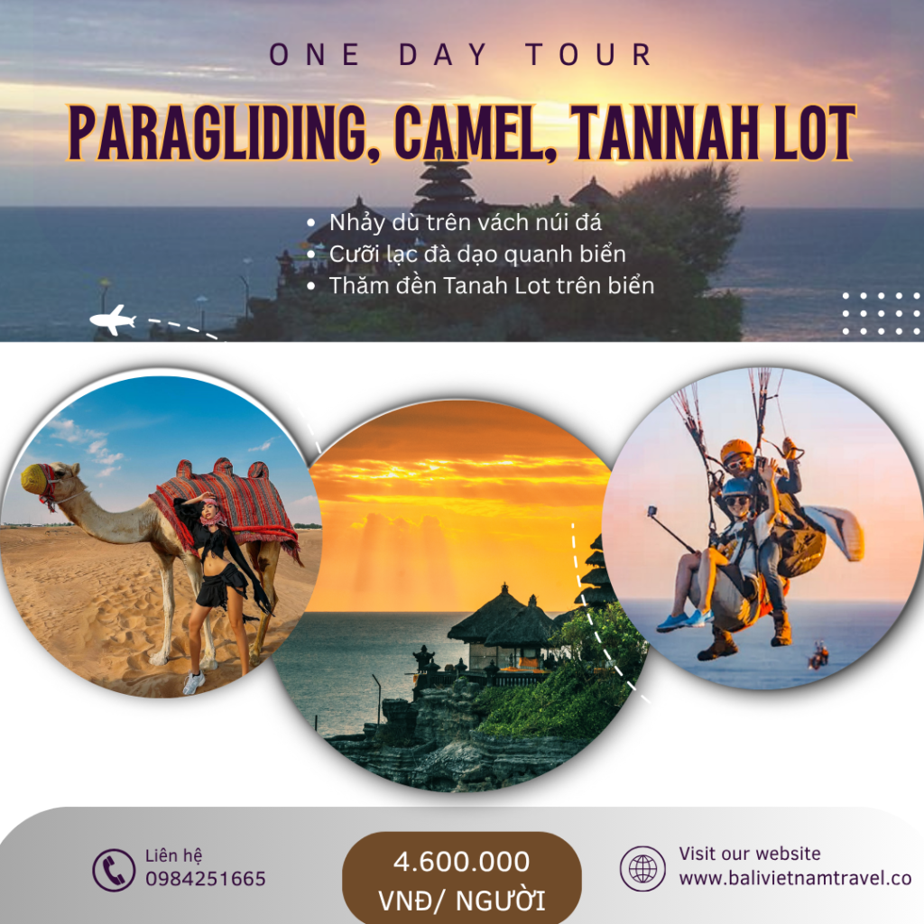 Tour trải nghiệm Cưỡi lạc đà - Chơi nhảy dù