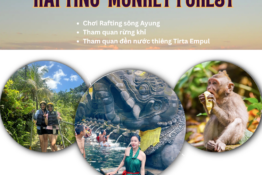 ( Rafting Sông Ayung - Đền nước Thiêng Tirta Empul - Rừng Khỉ )