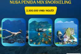 Nusa Penida Snorkling và phía Tây