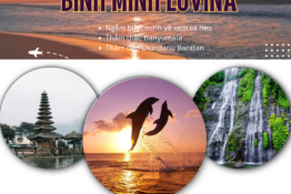 (Ngắm bình minh và cá heo Lovina- Thác Banyumala - Đền Ulun danu Beratan )