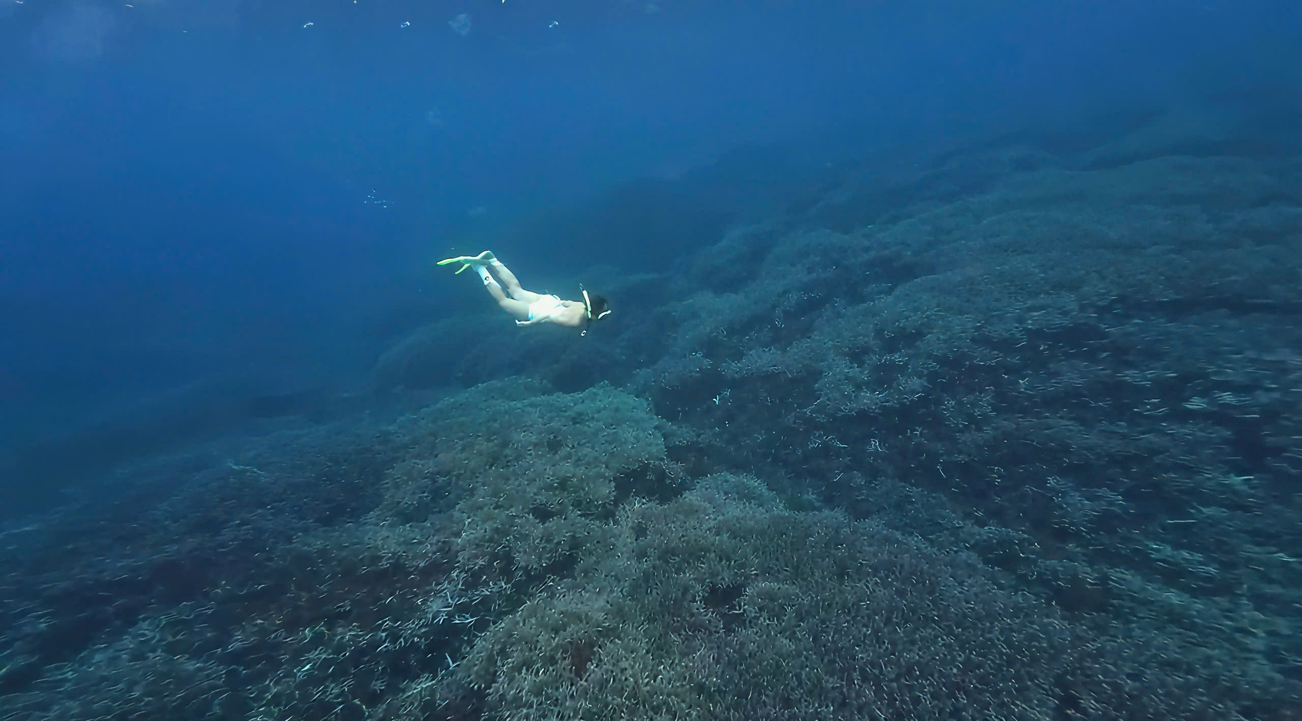 z7044714952316_5eca285bfee19b9800adef1af6b8e194