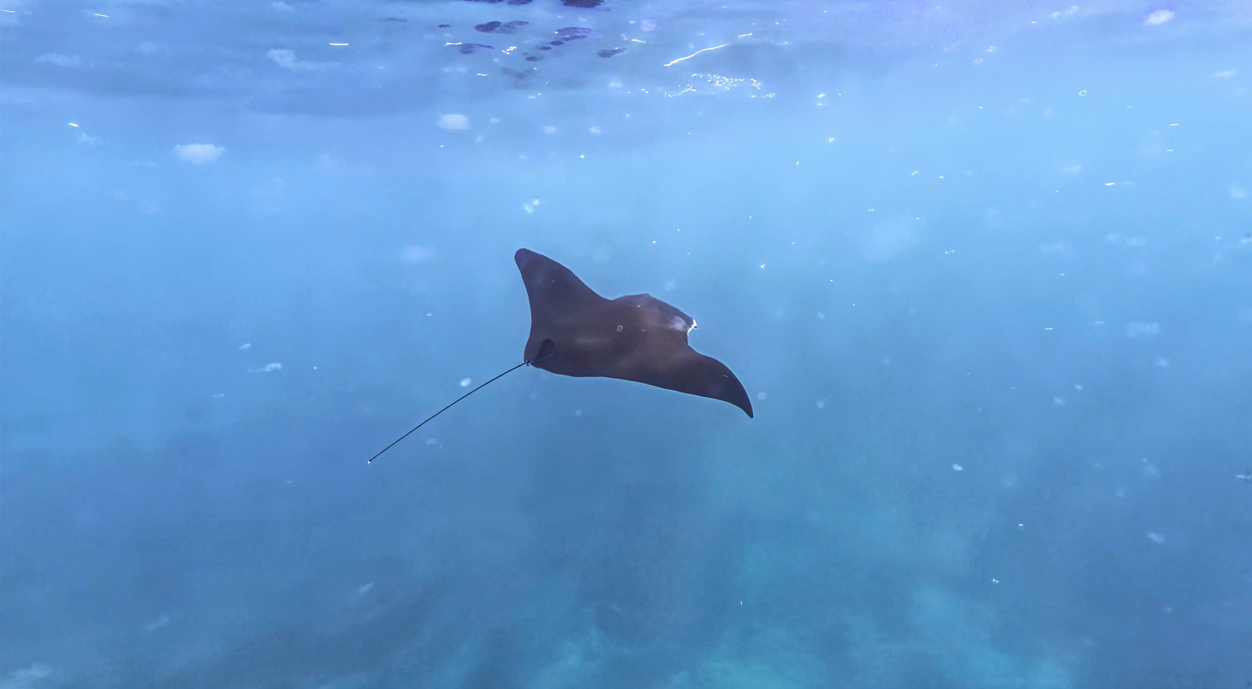 z7044714963812_ce276587b1dd4ad260c164614fec4ae3