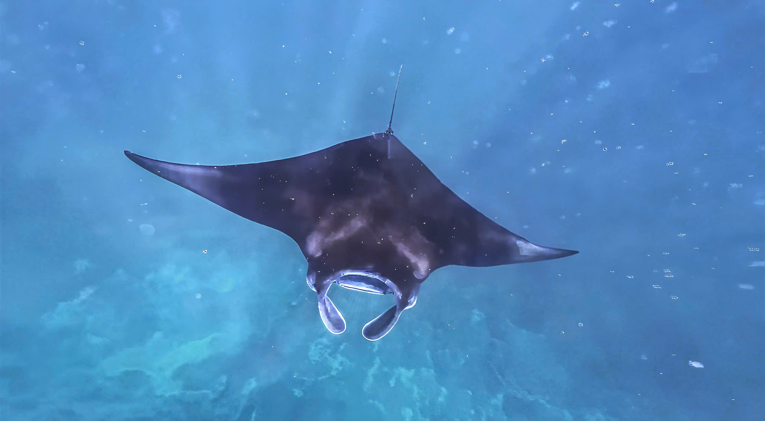 z7044714966382_249d1ce6a41ad5b6057bc1b22ba2b63d