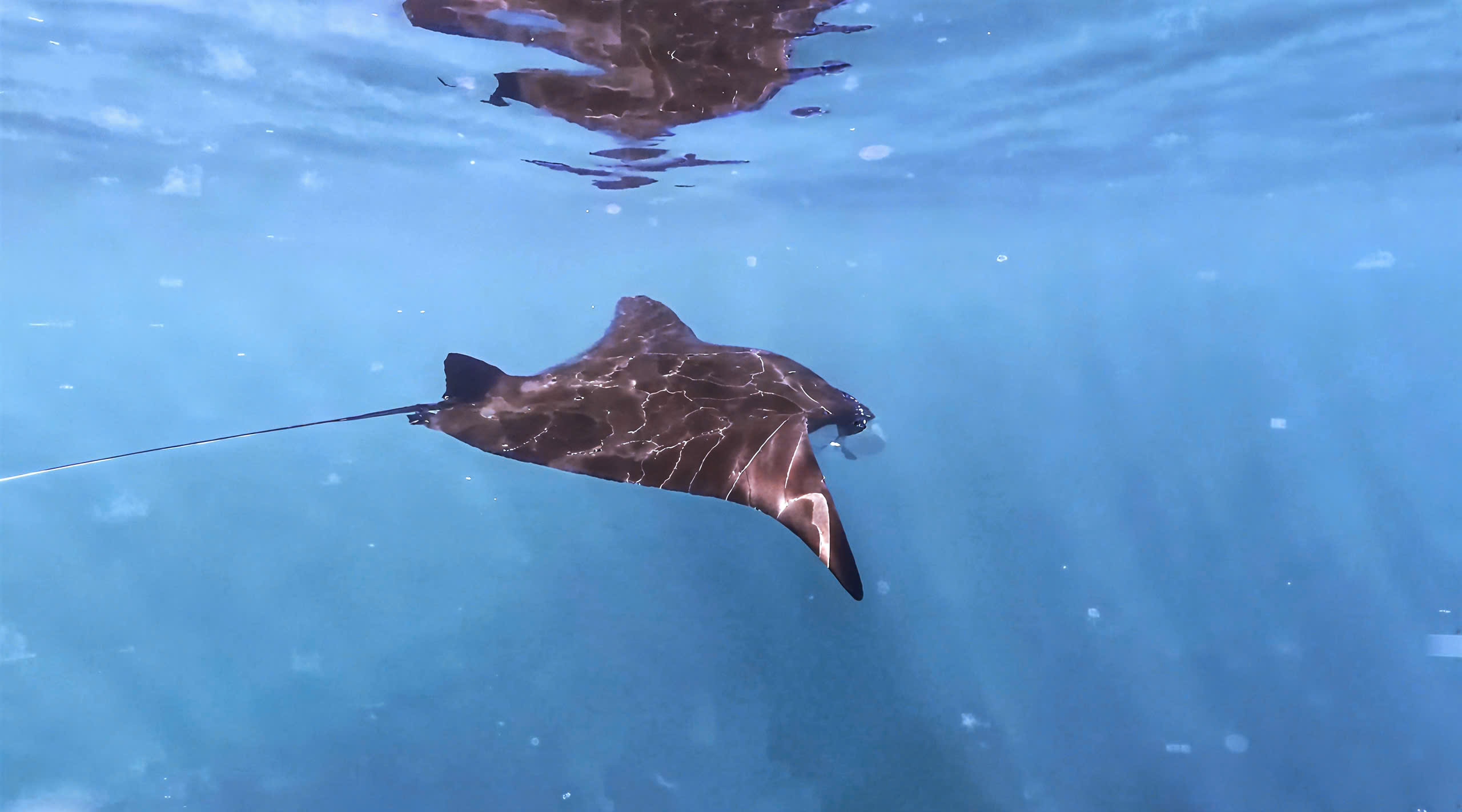 z7044714981123_ee51d1412728c70787773904f2eadfc3