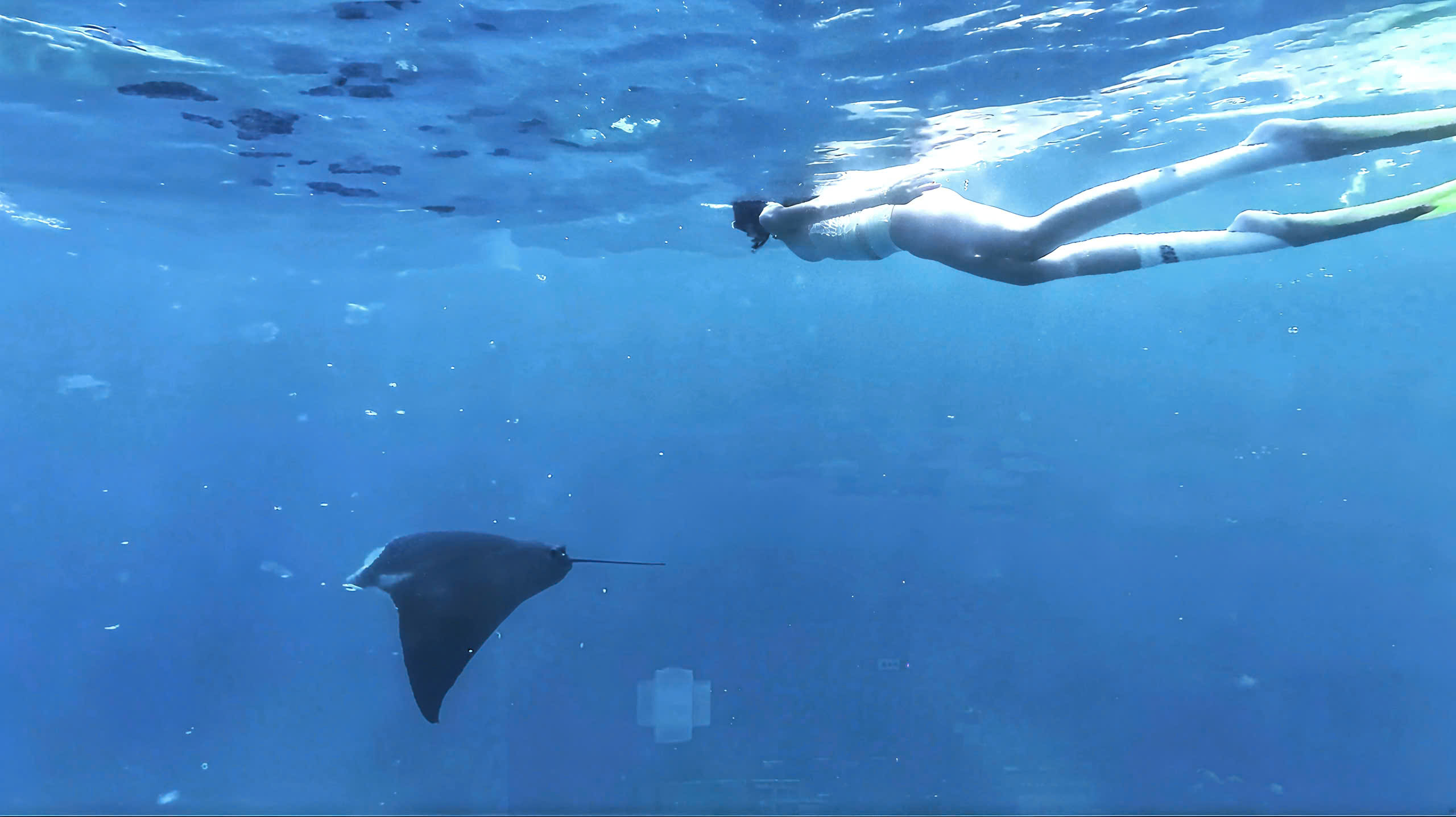 z7044714981801_d7a5b03cec02d8c333dfe92af9c44b6f