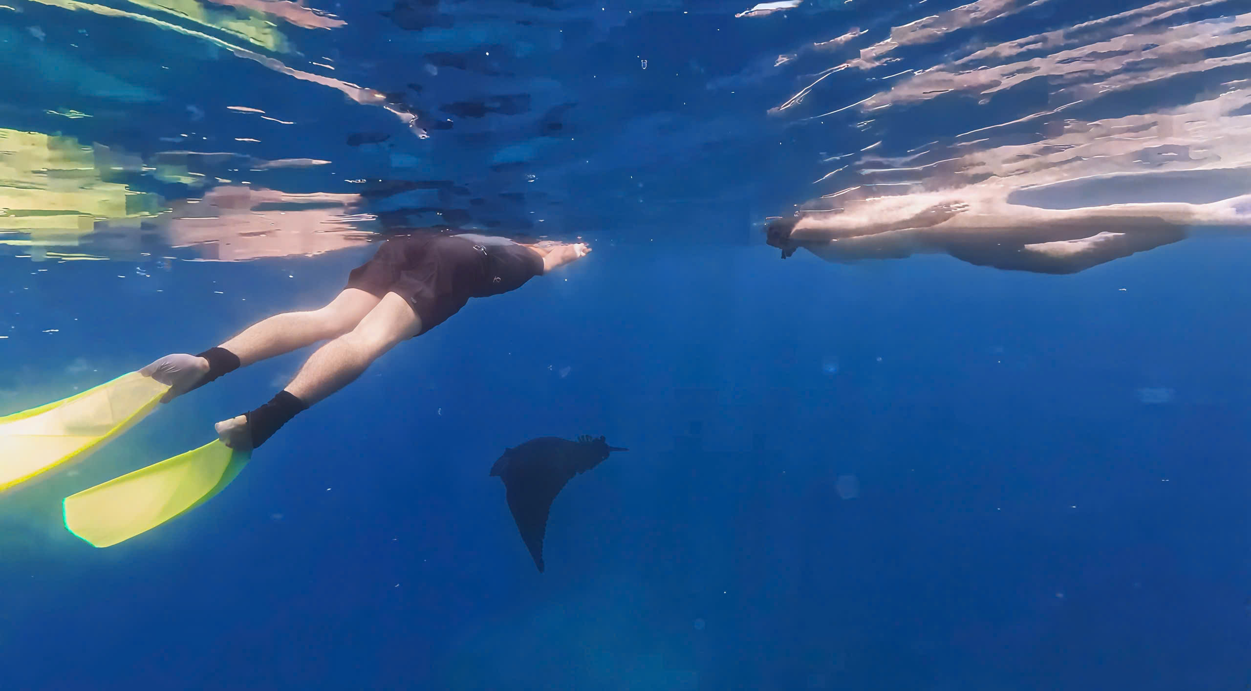 z7044714985256_70e20c323c9ccefcf4ad98f5f154d5fc