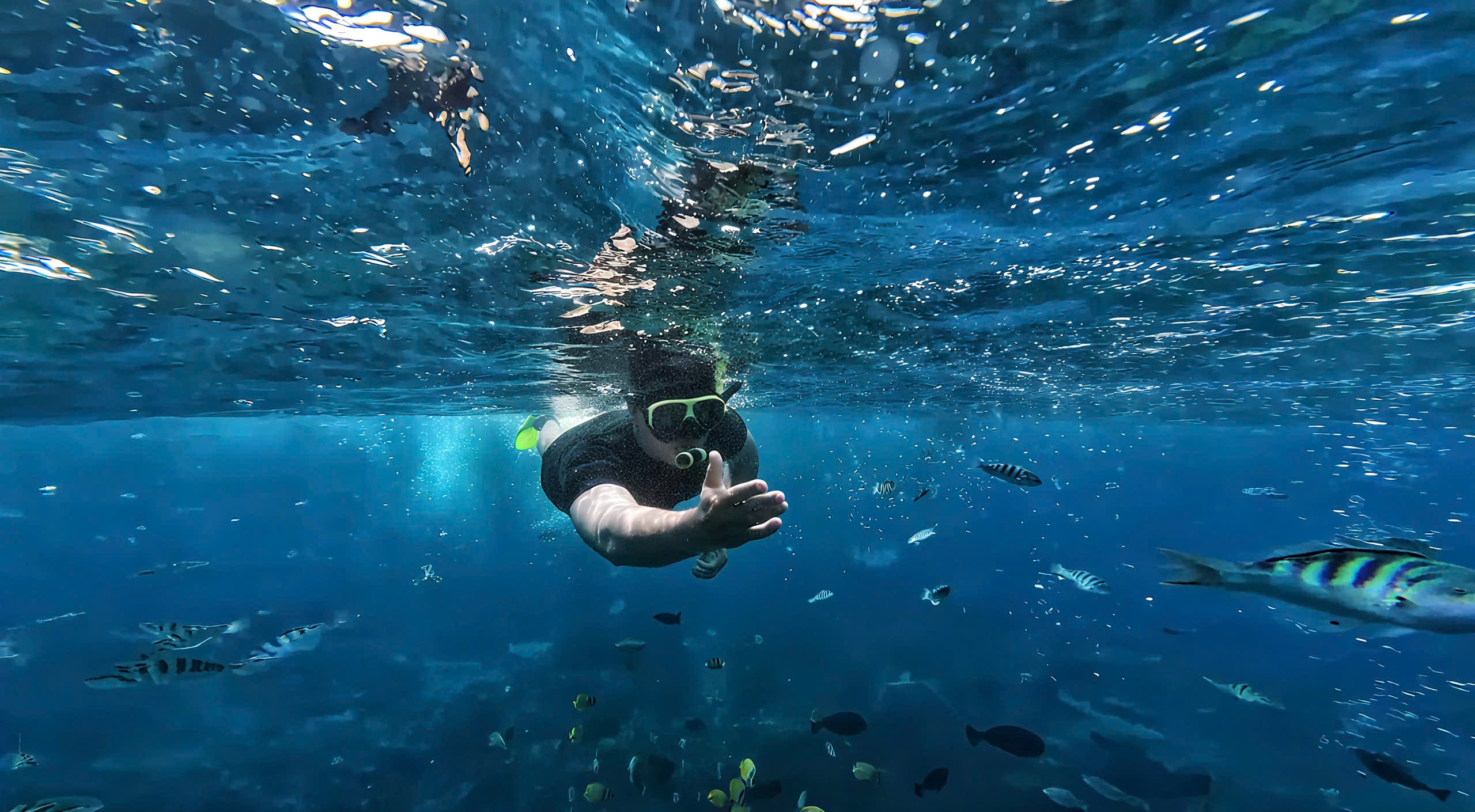 z7044714992186_700aaf93898866f285178a123f0276e3