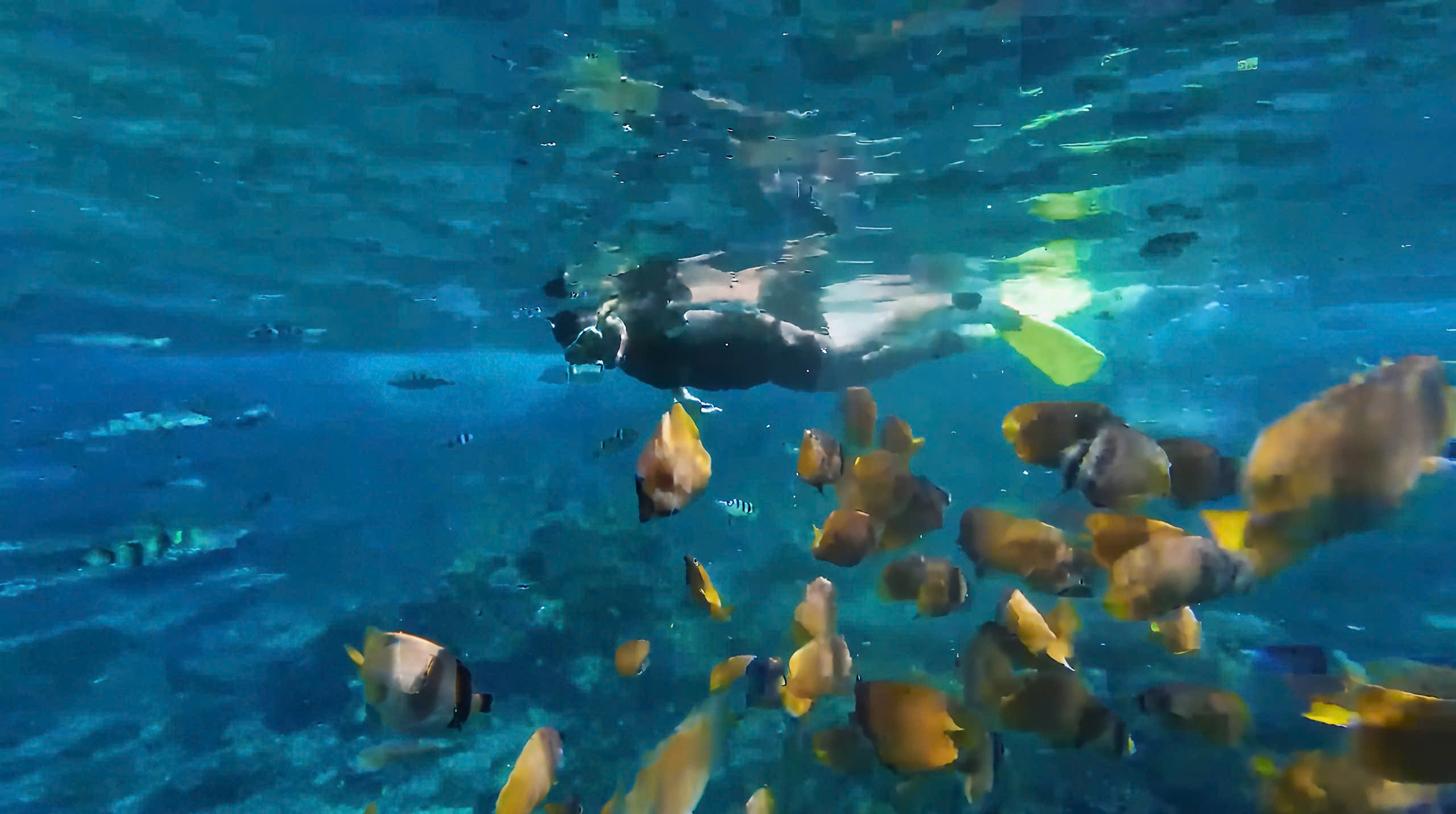 z7044715009256_2a4a4fb603e0cc3dfaa6071c2f779d03