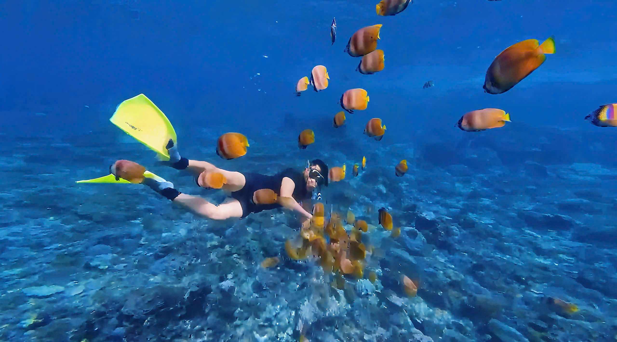 z7044715023062_f1473f6907bfa915ac98787312c8ab90