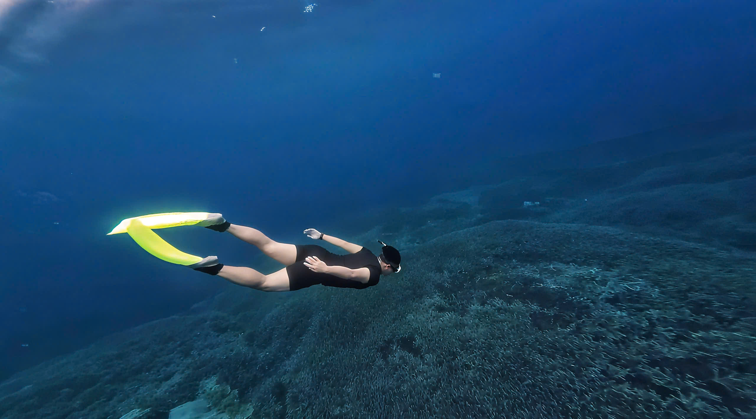 z7044715048098_3203bb6dc427f1d3b574cf83f807819d